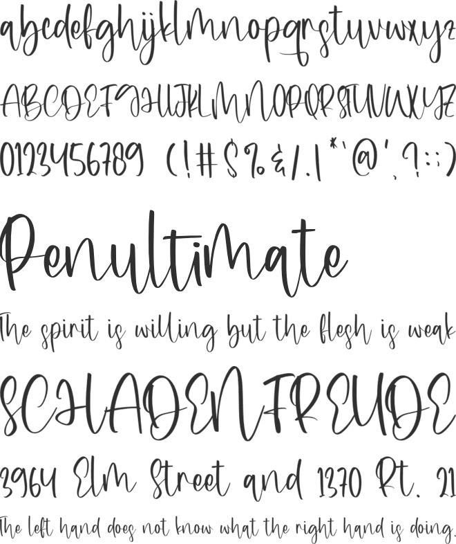 Destiny Bestie font preview