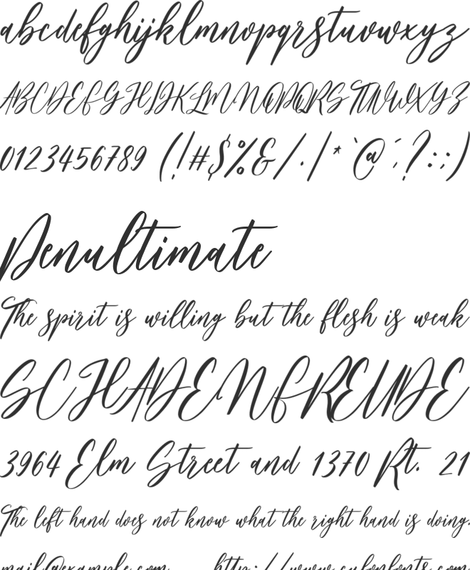 Bankports Font : Download Free for Desktop & Webfont