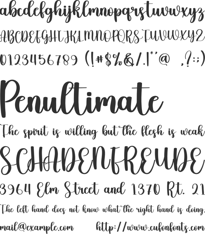 Christmas Specialist font preview