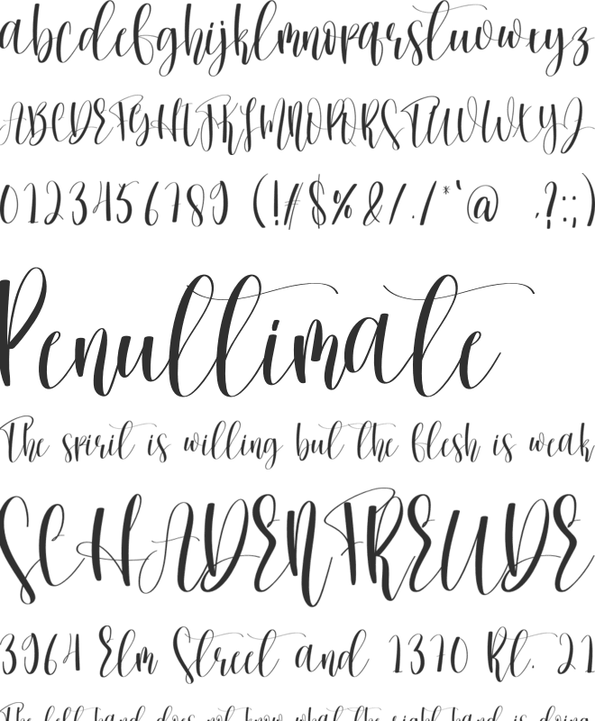 Winterday font preview