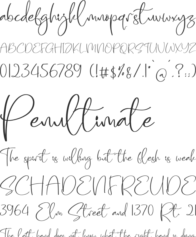 Shyla Villoyd font preview