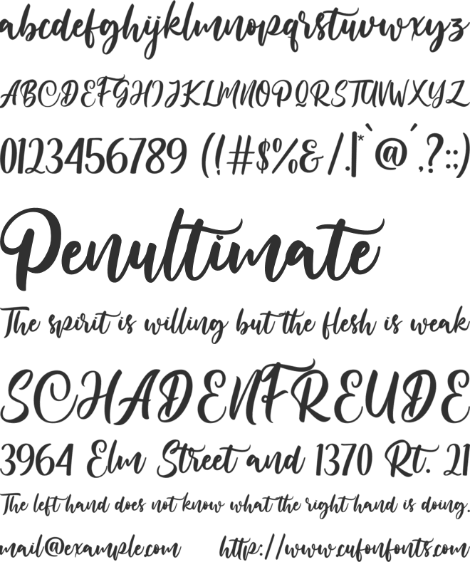 Starlight of Christmas font preview