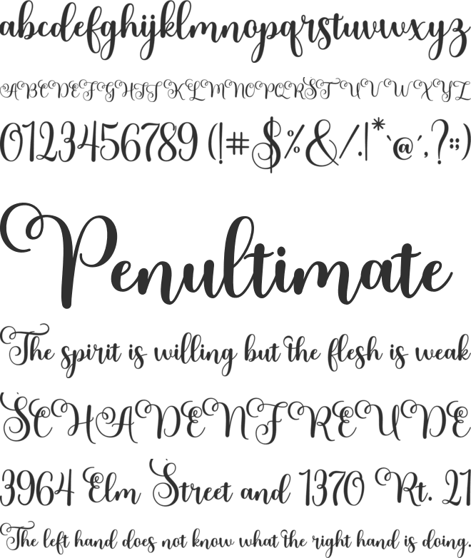 Meltisia Script font preview