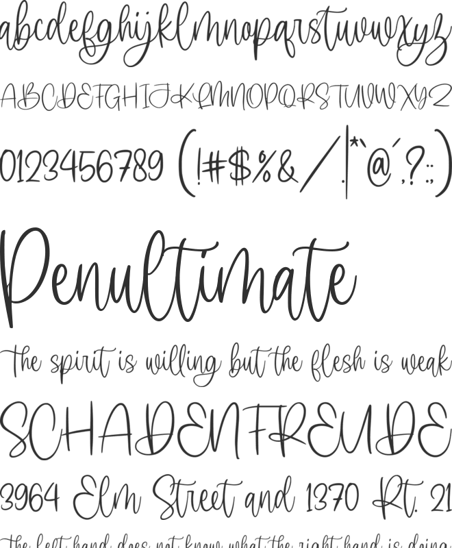 Molliena font preview