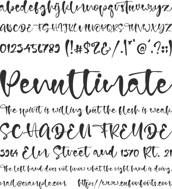 Donna Grace font preview