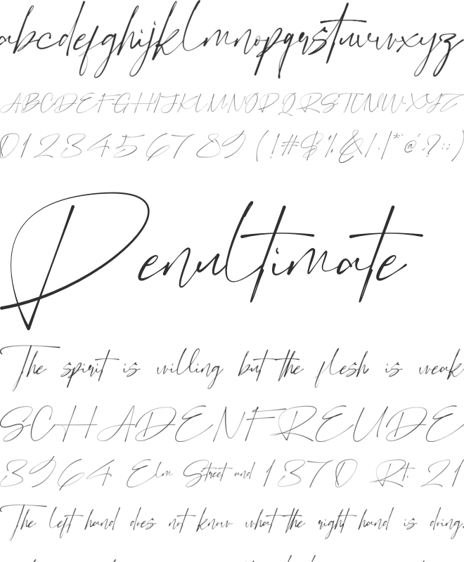 Fenattoda font preview