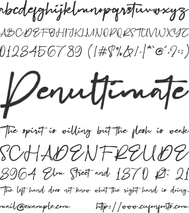 Joonfloss Brush font preview