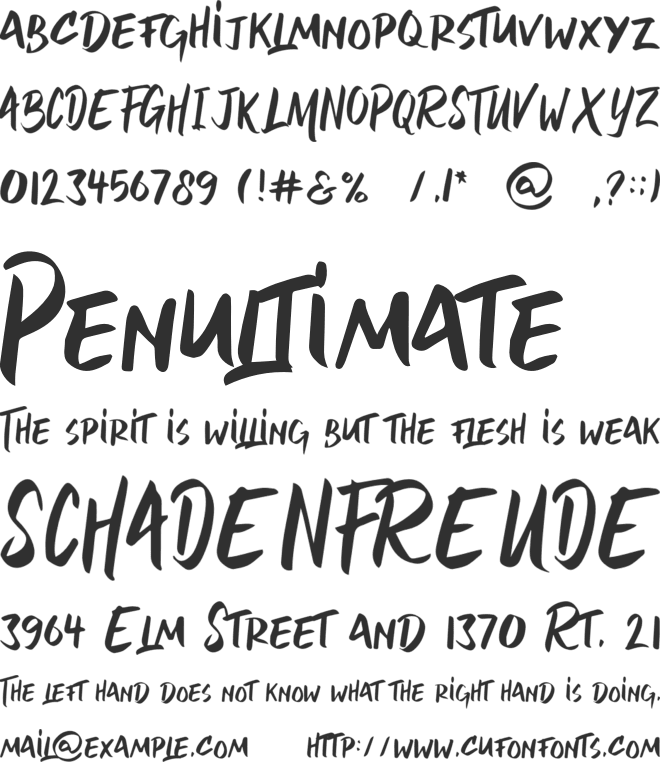 Friendly Stranger font preview