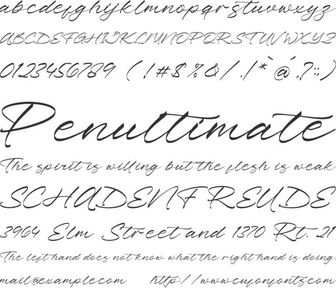 Pharellia Redusha font preview