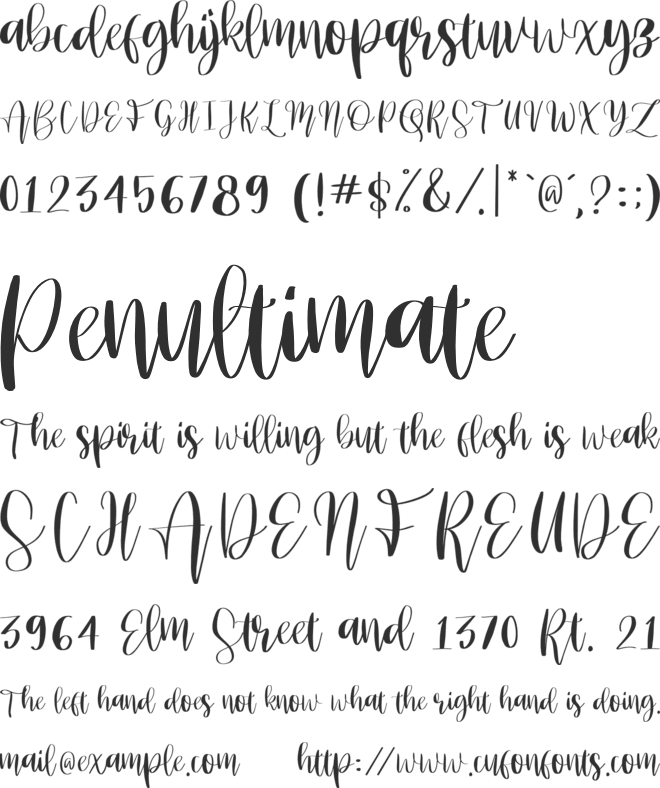 Brownies_Script font preview