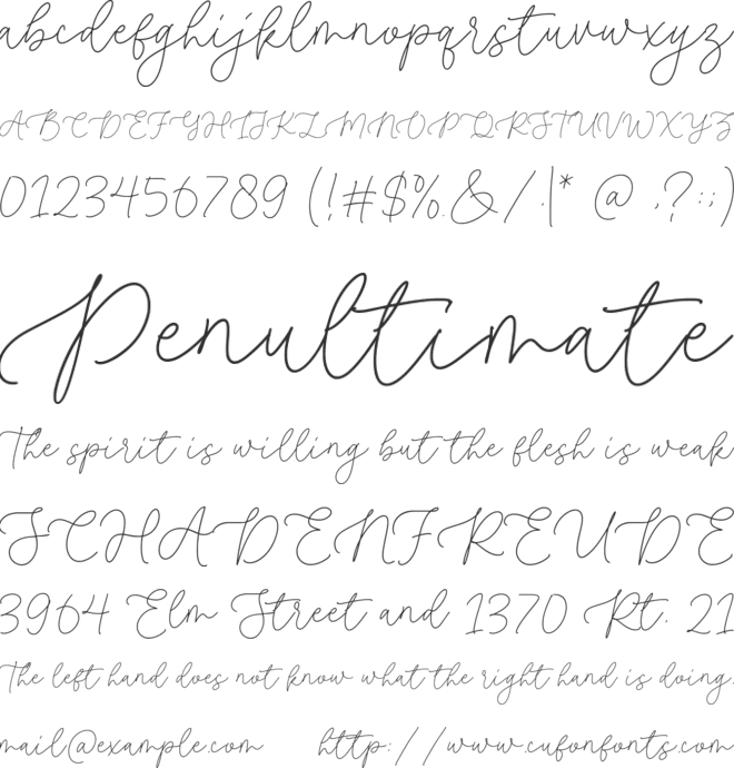 Roseline font preview