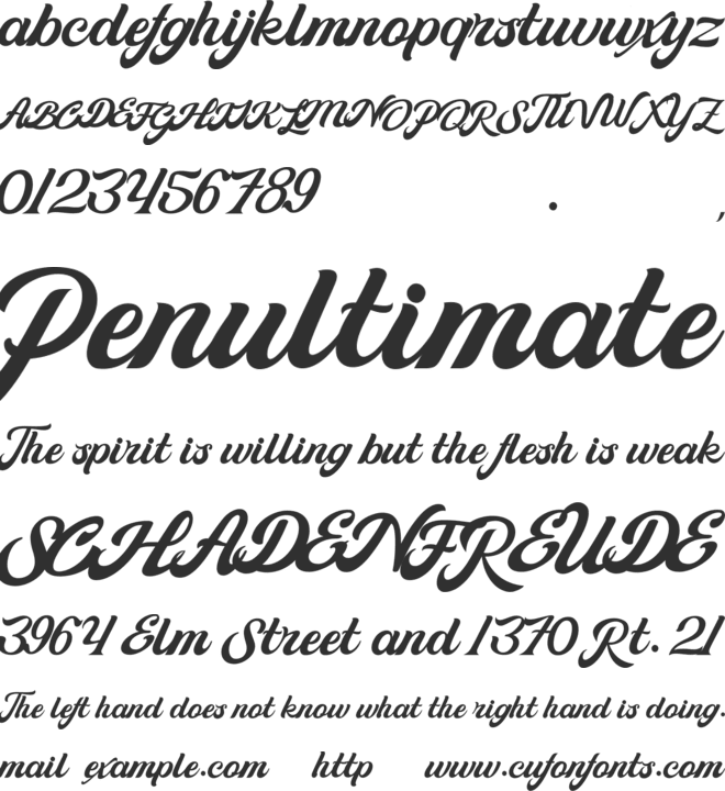 Suitnice retro font preview