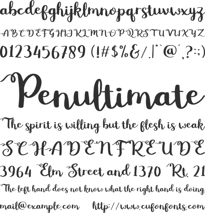 Betty Rose font preview