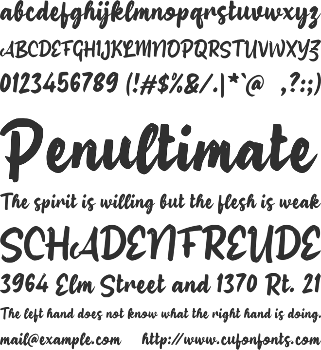 h Halina Script font preview