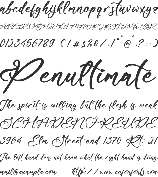 Nelsonlla Smithran font preview