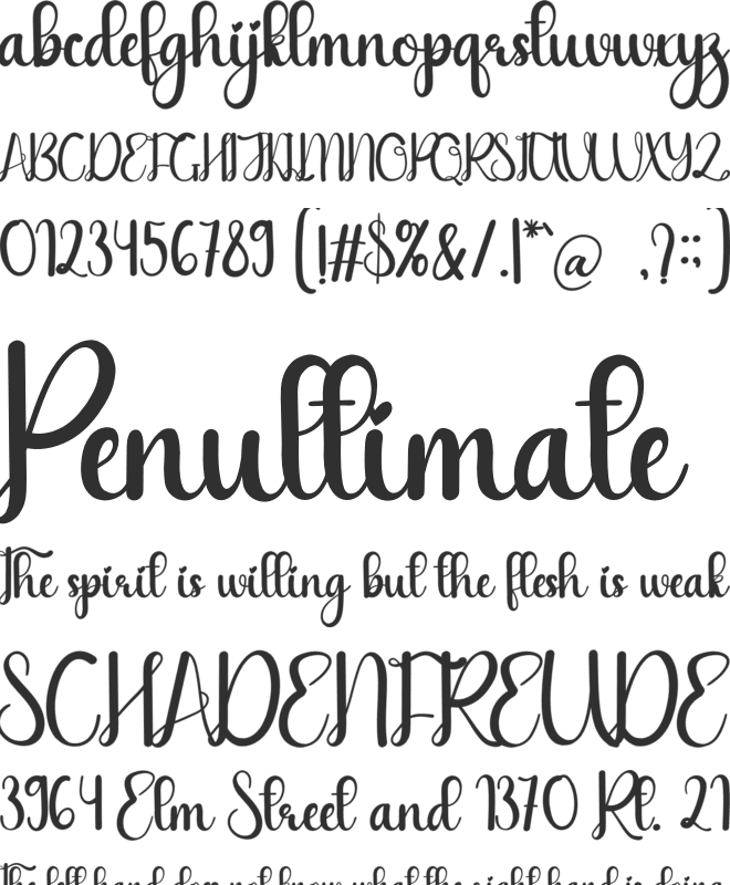 Saturday Holiday font preview