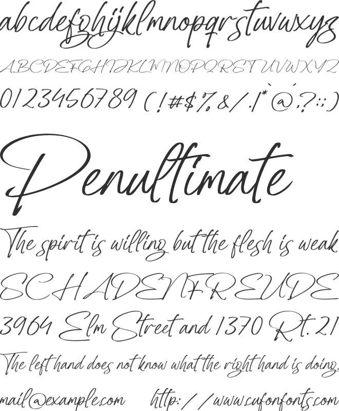 Kaleesha Mayolla font preview