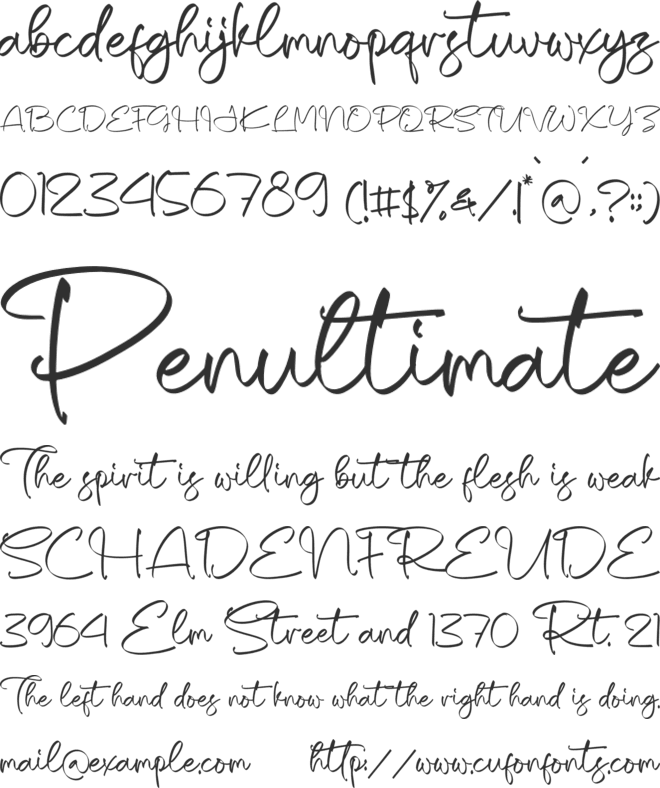 Shaquetta Torelly Font : Download Free for Desktop & Webfont