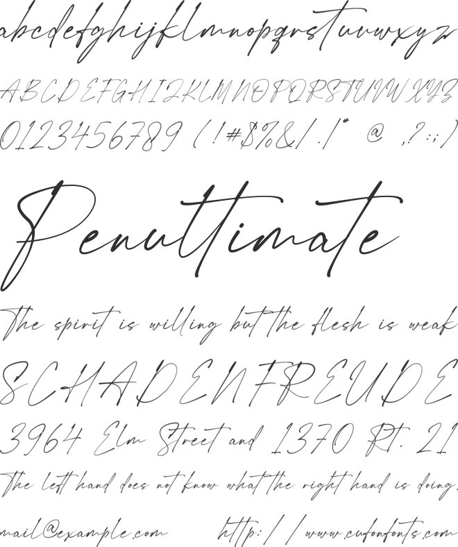 Renatha Signature font preview