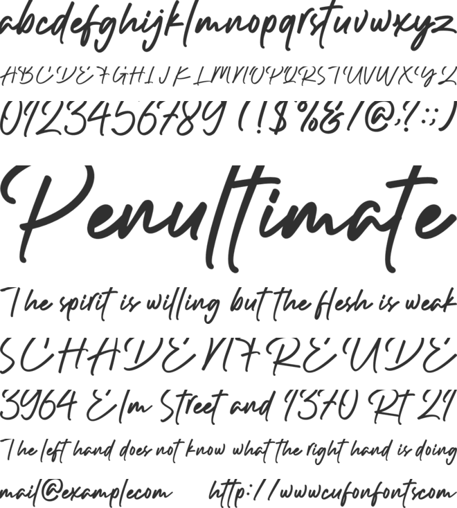 Outlander signature font preview