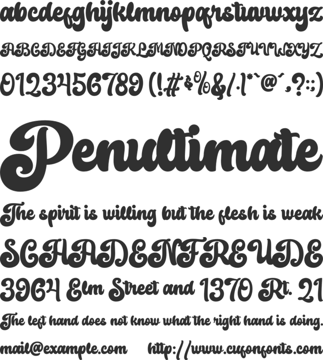 Raydhen Font : Download Free for Desktop & Webfont