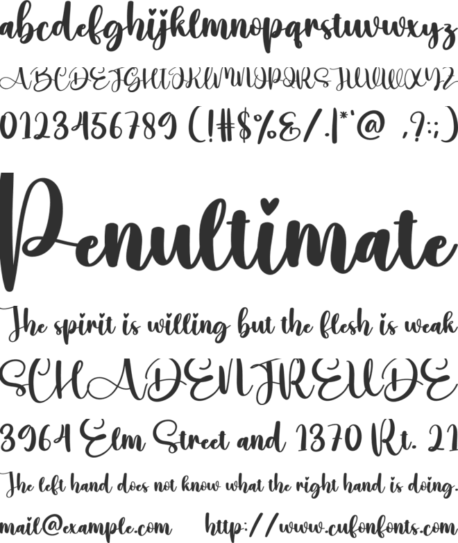 Written Font : Download Free for Desktop & Webfont