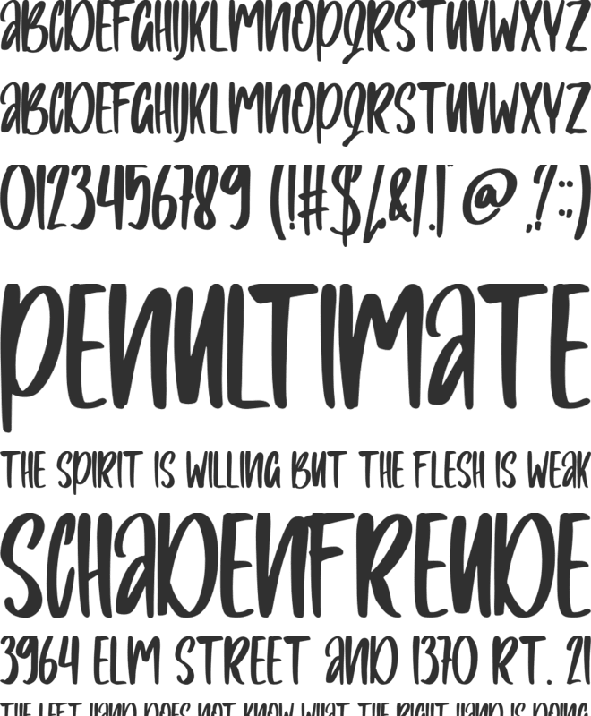 Bilnesa font preview