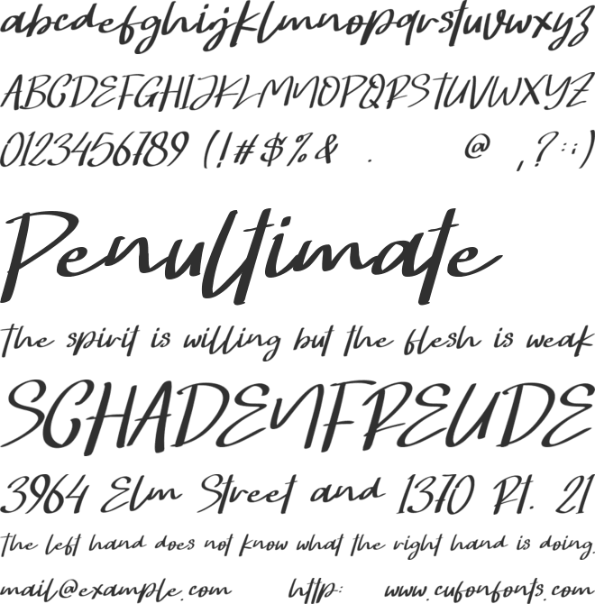 Hongkong Script  - Person font preview