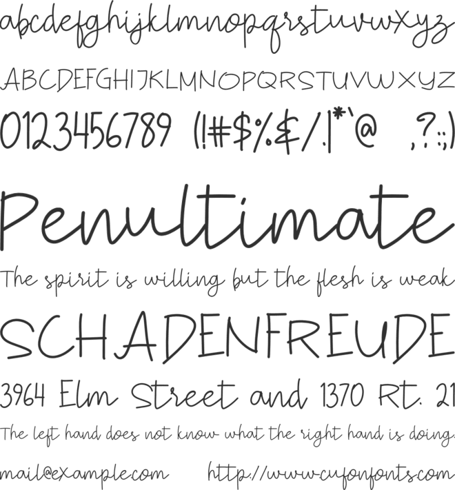 Smart Satriyoe font preview