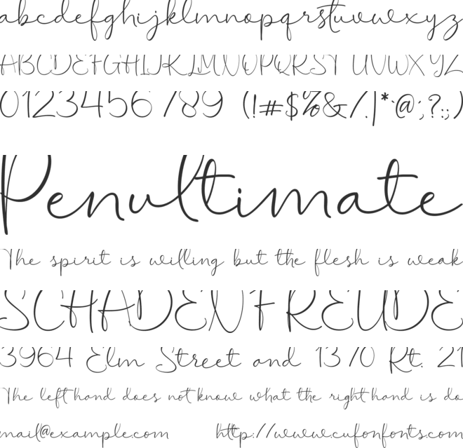 Timeless Wonderland Free Font : Download Free for Desktop & Webfont