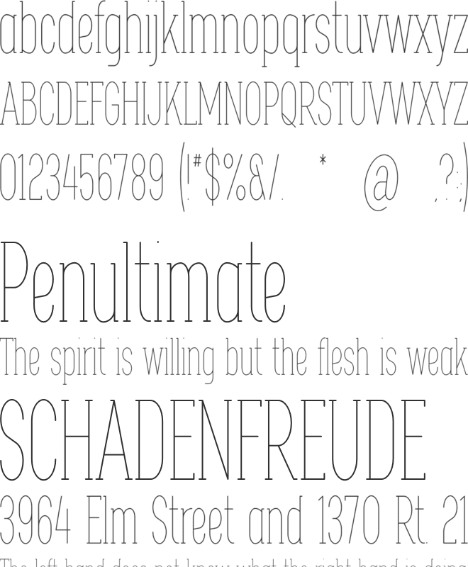 Maple font preview