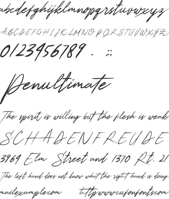 Rightman Signature font preview