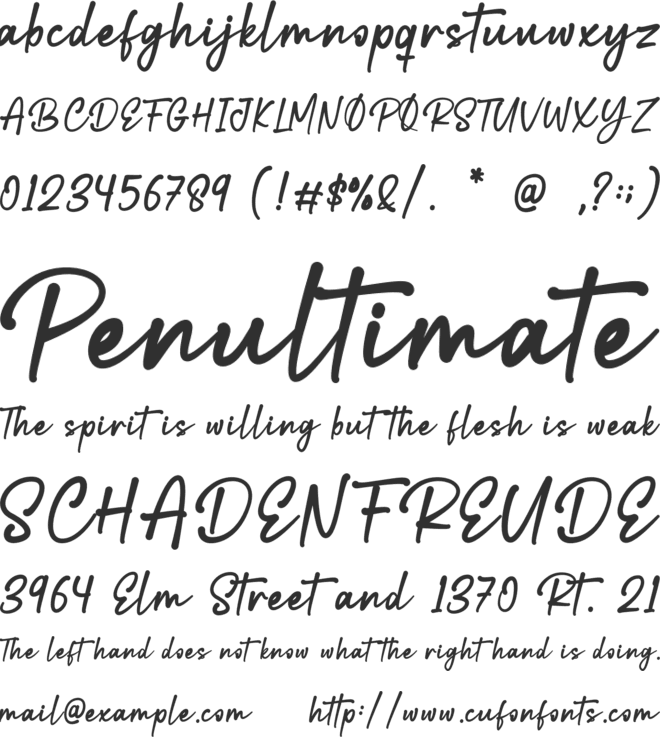 Shantay font preview