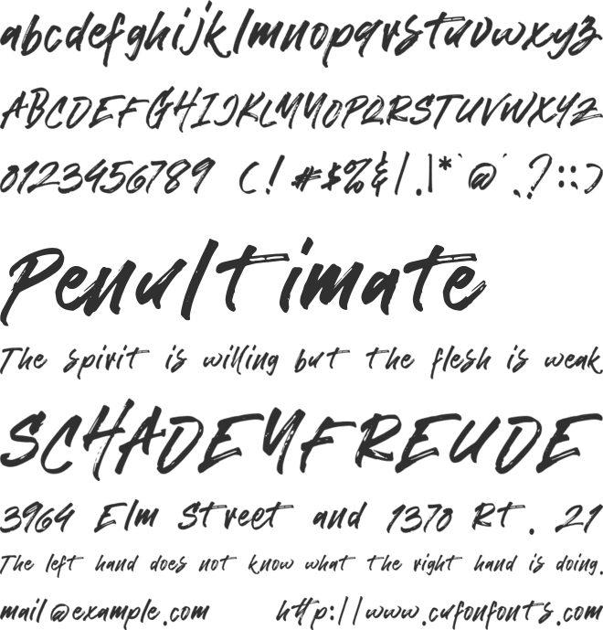 Helttox Brush font preview