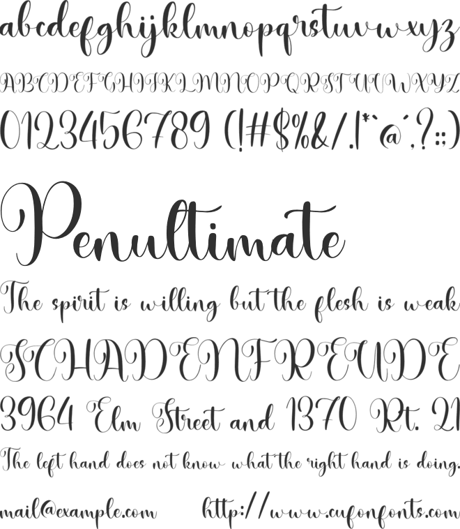 NCL Sojileq Qurtesy font preview