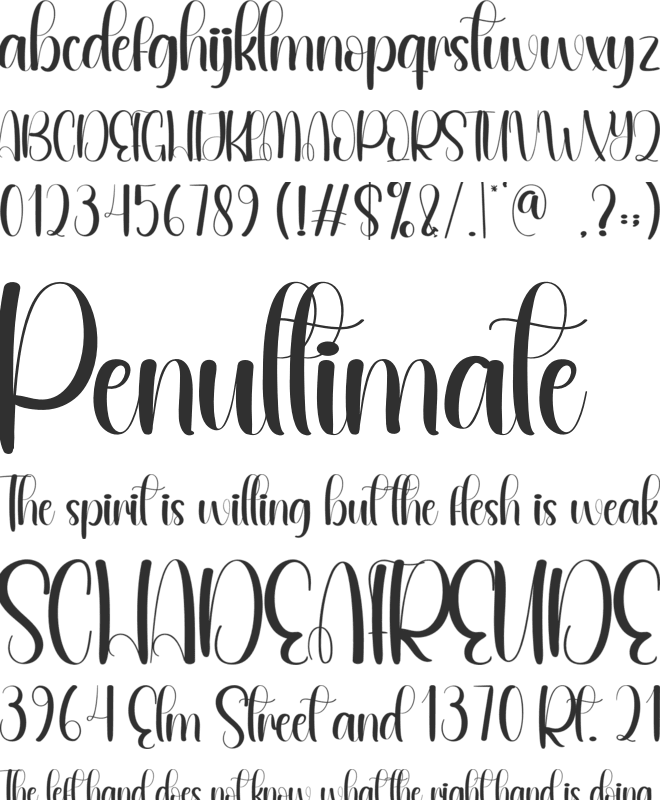 Competence font preview