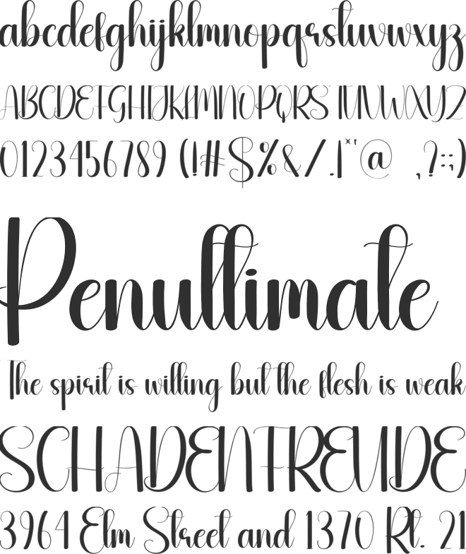 Kinglike font preview