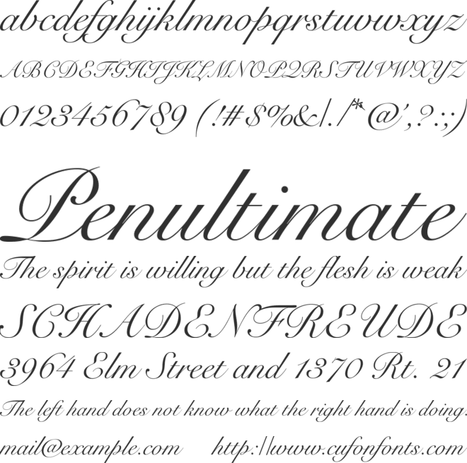 Snell Font