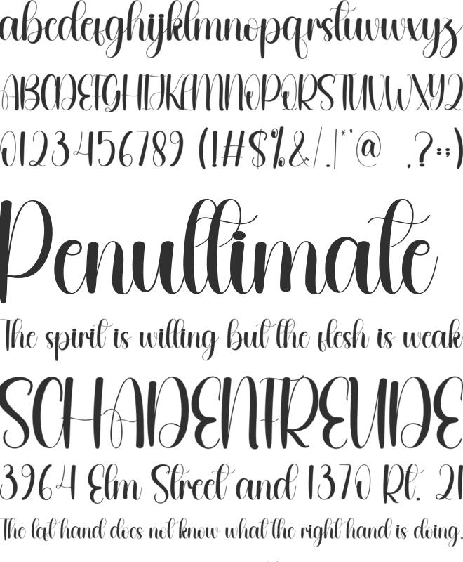 Straighten font preview