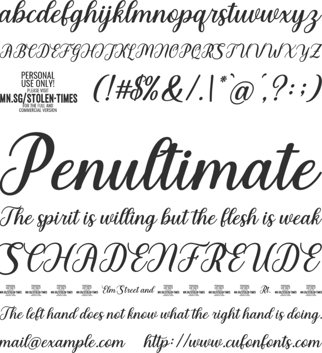 Stolen Times PERSONAL USE font preview