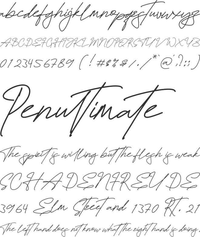 Hamiltton Signature font preview