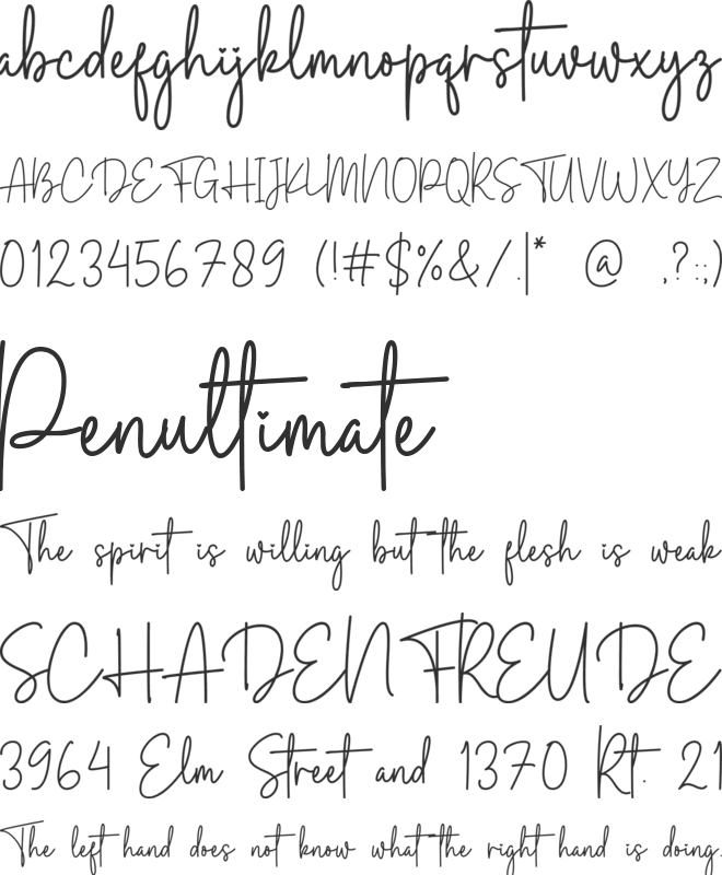 Browny Cakes Signature font preview