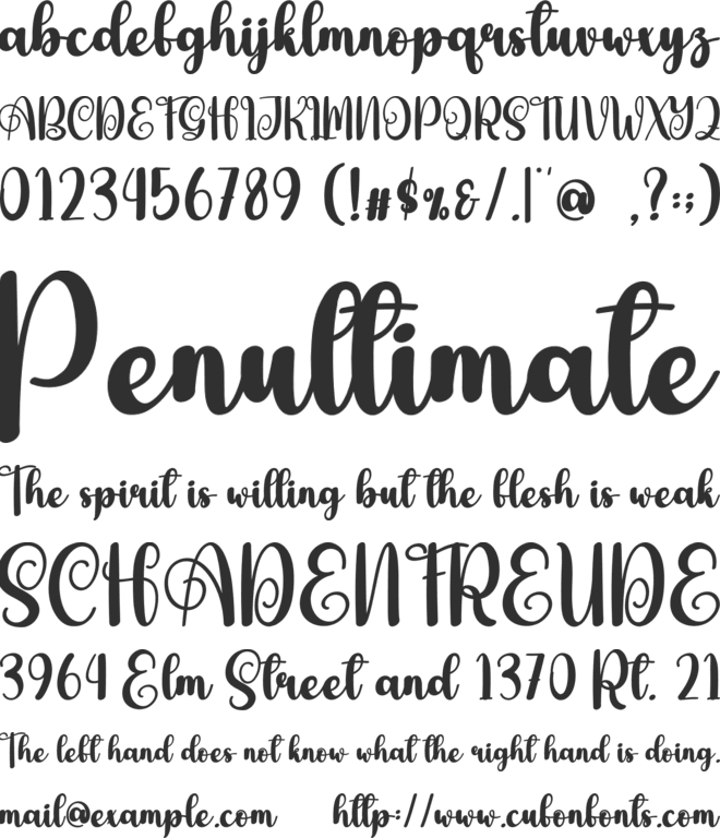 Achieved font preview