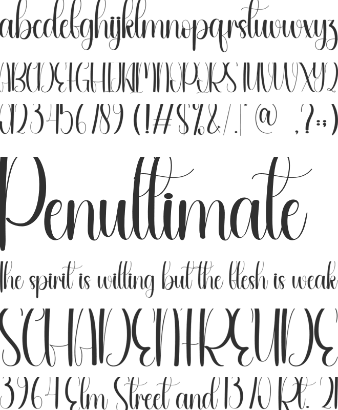 Cornela font preview