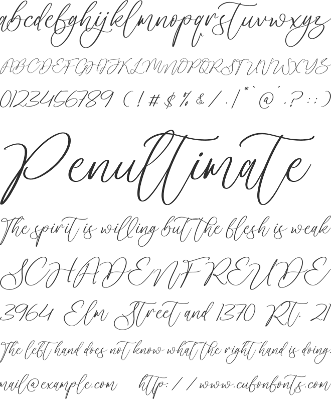 Horsion Sorelistha Script font preview