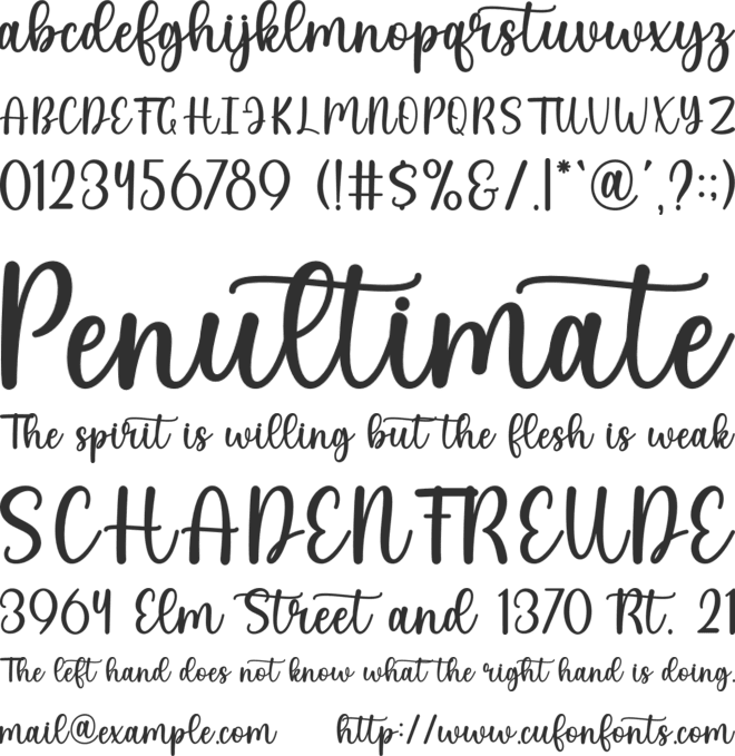 Limited font preview