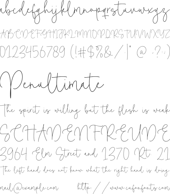 Camelia Boutique Font : Download Free for Desktop & Webfont