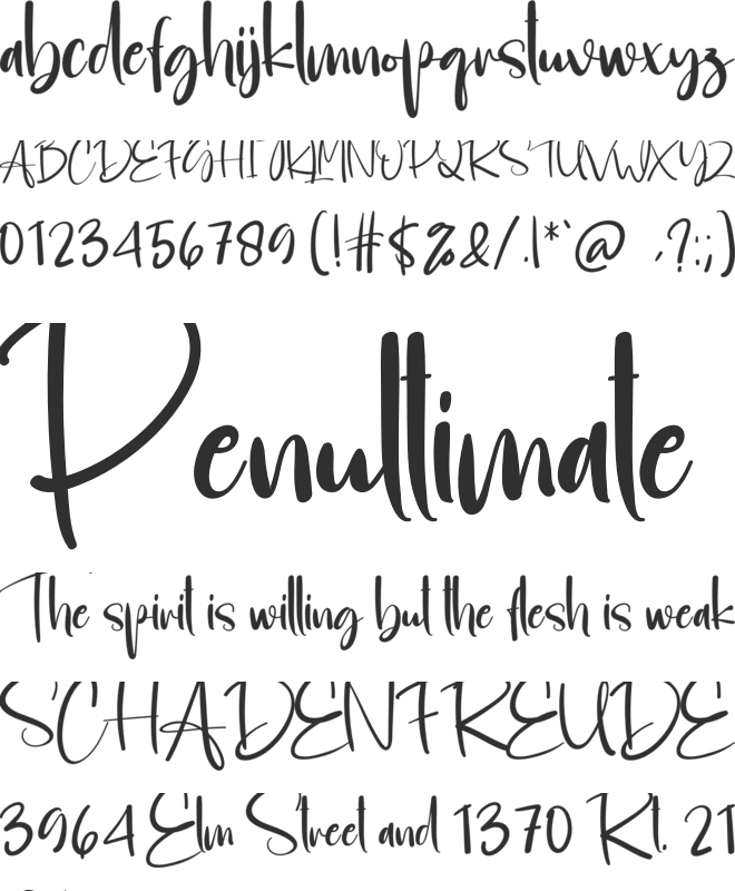 Housebold font preview