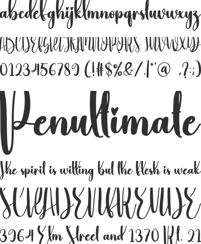 Diligence font preview
