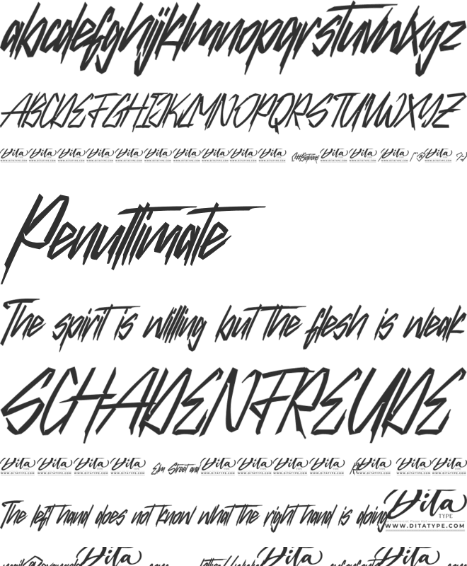 Biotrons Personal Use font preview